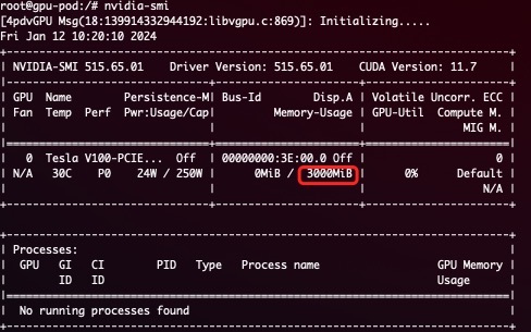 GPU 内存硬限制演示，显示容器内 3GB 设备内存